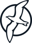 Dansani